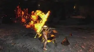 Gwyn hitless NG+