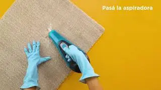 Cómo limpiar alfombras | Cleanipedia