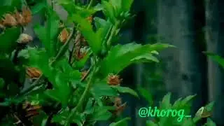 ПАМИР- БАДАХШАН  2020!