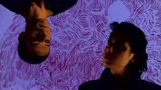 All Ship Shape - Sprechgesang (OFFICIAL)