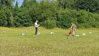 04.08.2024 RO LV Talsi . trassa 1 . judge Peteris Akimovs 80%