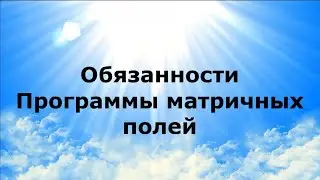 ОБЯЗАННОСТИ. Программы матричных полей #НаянаБелосвет