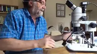 Microscope Club   Taking Photographs