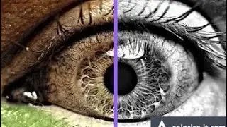 How to colorize black and white images