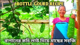 বাগানের কচি লাউ দিয়ে মাছের সবজি|bottle gourd Recipe|bottle gourd sabji