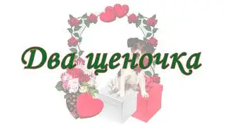 ВЛОГ А.Петит: Роды джек-рассел терьер и первые дня жизни щенков