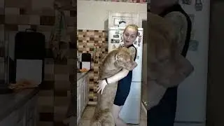 Танцы мы устроим танцы!