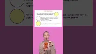Как запомнить разницу между кругом и окружностью. Математика