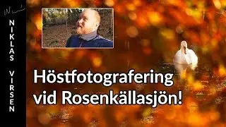 Höstfotografering vid Rosenkällasjön, Linköping.
