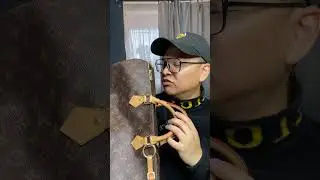 #shorts #louisvuitton #asmr