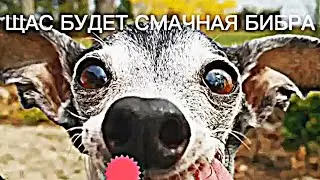 щас будет смачная бебара