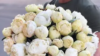 шляпная коробка из 51 голландского пиона