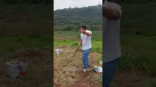 Descubra como Produzir Orgânicos em Abundância