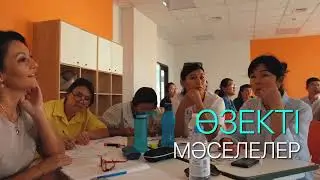 Binom мектептерінде оқушылардың функционалдық сауаттылығын арттыру мақсатында семинар өтті