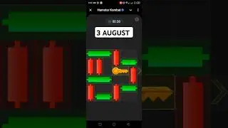3 August Key in Hamster Kombat HAMSTER KOMBAT daily Task