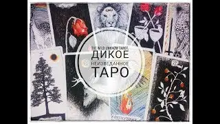 Дикое неизвестное ТАРО. (The Wild the Unknown Tarot) Обзор колоды. Часть 1.
