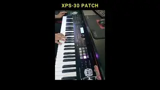Xps-30 Patches 101