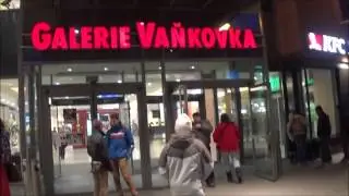 №10  Символ города Брно  крокодил, народное творество