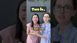 Bạn đã biết 5 danh từ số ít, số nhiều tiếng Anh siêu thông dụng này chưa! Tự học PHẢI GHI NHỚ