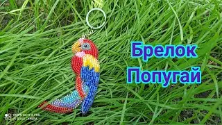 Брелок Попугай-финальная работа