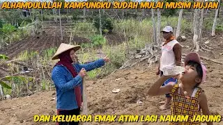 KAMPUNGKU SUDAH MUSIM HUJAN ‼️WAKTUNYA ULUR JAGUNG DI LADANG❤️