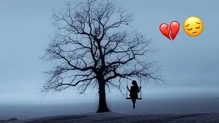 AMJAD ALAMEER - Mehrab Ytim A1 (Official Music Video)