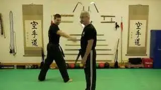 Kenpo Technique Demonstration #3 & The Rules of Self Defense