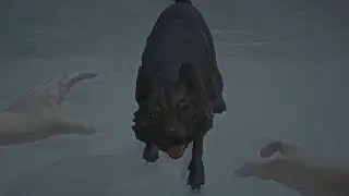 ✓ БОБИК ПОЛУЧИЛ ПО ЗУБАМ (The Long Dark история #3)