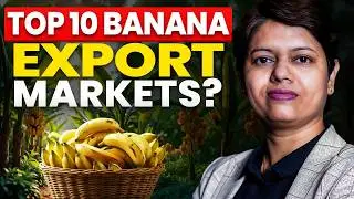 TOP 10 BANANA EXPORT MARKETS I Export Market I KDSushma