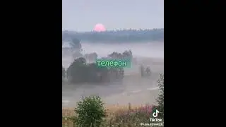 видео из тиктока для травниц