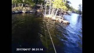 I GOT SKUNKED !!!