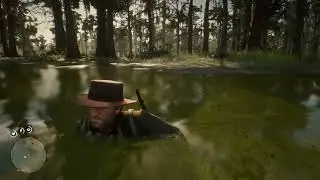 RDR 2 Провоцируем аллигатора чтобы сфоткать