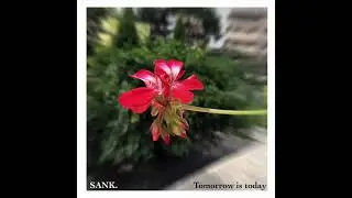 SANK. – Tomorrow is Today