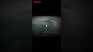 Типичные ситуации в России сейчас 