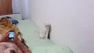 уважуха