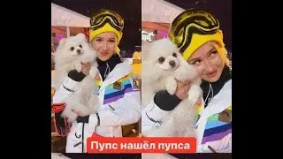 «Пупс нашёл пупса»: кого Клава Кока окрестила «пупсом», проводя время с Ольгой Бузовой