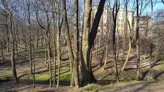 Kaliningrad central park
