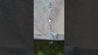 No Ropes 