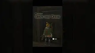 Hardest Sidequest in Zelda History