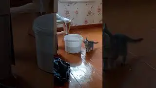 Развлекаемся с утра.