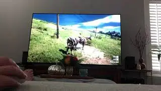 Gsync flashing LG C9