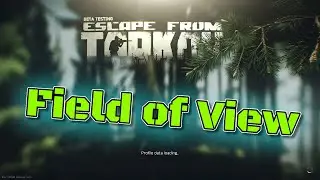 Escape from Tarkov  - Field of View / Sichtfeld  Guide
