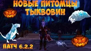 Новые питомцы на Тыквовин. Призрачный червь, Жуткая крыса и Призрачный ткач. Hallow's End!