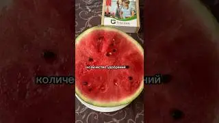 НИТРАТЫ В АРБУЗЕ #зож #здоровье #врач