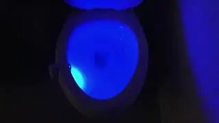 LED Toilet Light