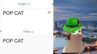 Pop Cat In Different Languages Meme