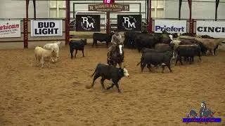 Catolena Cashin In and Tarin Rice — 2022 Brazos Bash 5/6-Year-Old-Open Champions