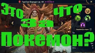 Гурптук Бородач. Обзор героя и слияния. Raid Shadow Legends.