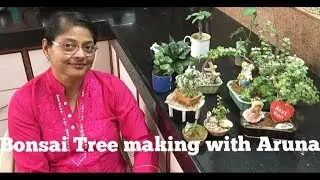 BONSAI TREE making for Beginners at Home, Jade Plant, indoor plant decoration in HINDI eng subtitles