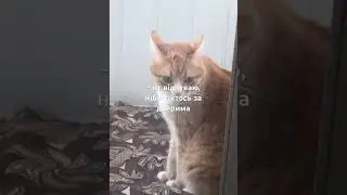 - піду, перевірю